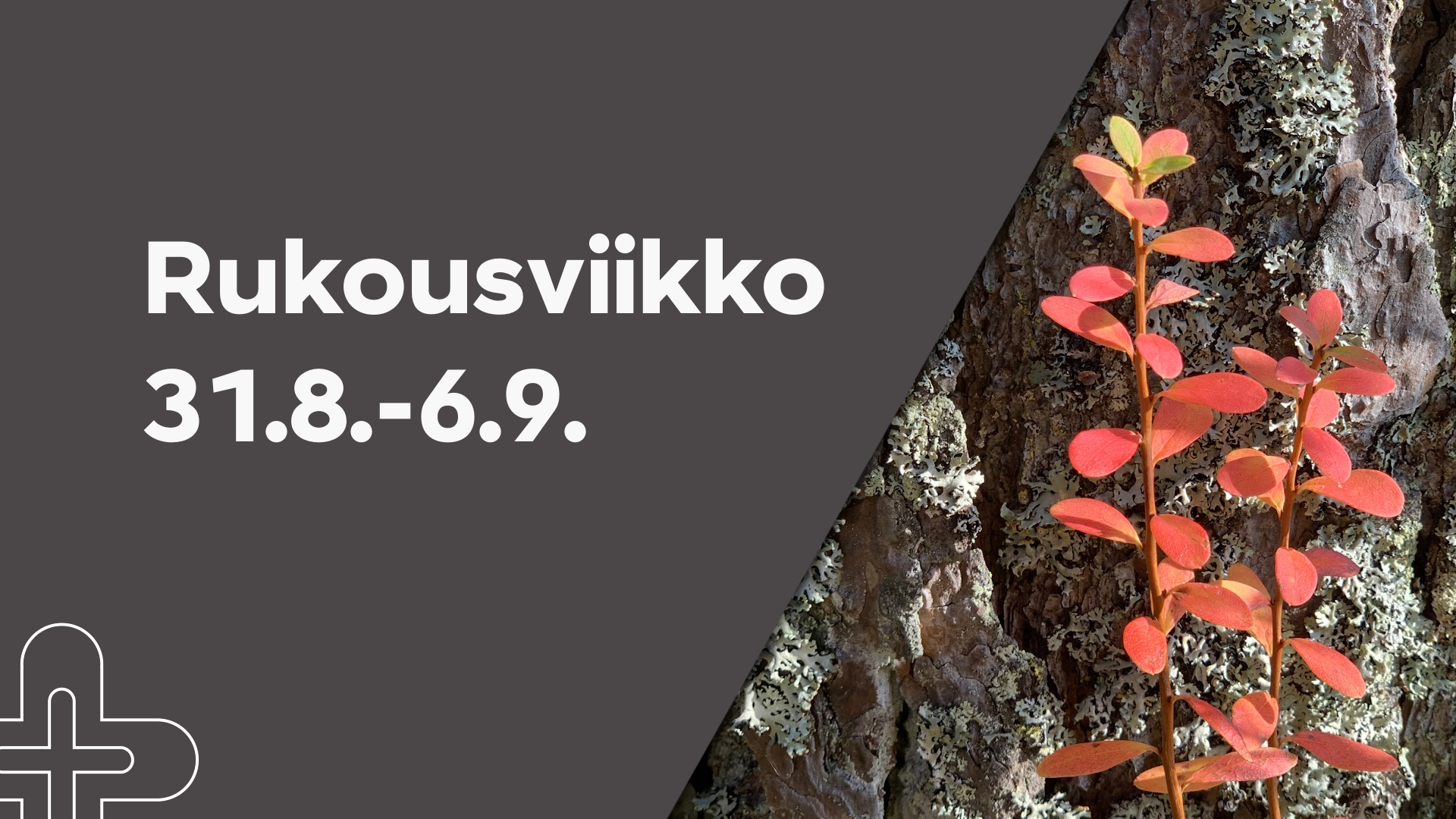 Avoimet ovet rukoilemaan